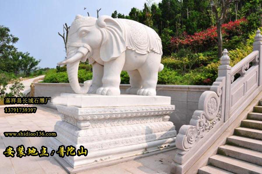 寺院石雕大象，普陀山大象雕刻